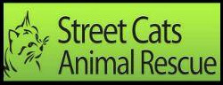 Street Cats Animal Rescue, Innisfil,ON Vehicle Donation Quotation Form Street Cats Animal Rescue, Innisfil,ON Vehicle Donation Quotation Form